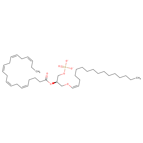 Image of MNXM67385
