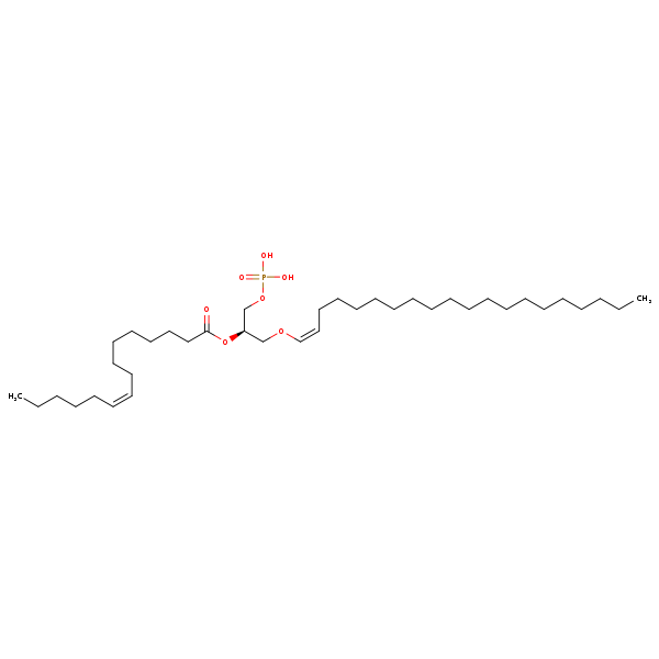 Image of MNXM67431