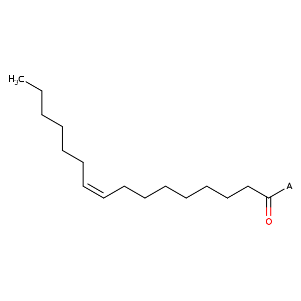 Image of MNXM67519