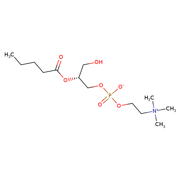 Image of MNXM69031