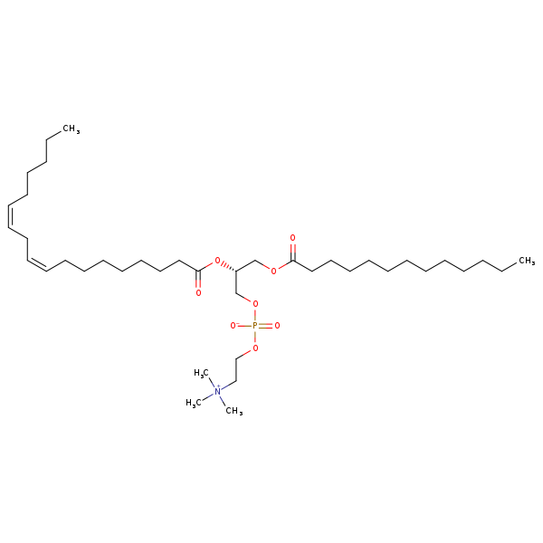 Image of MNXM69106