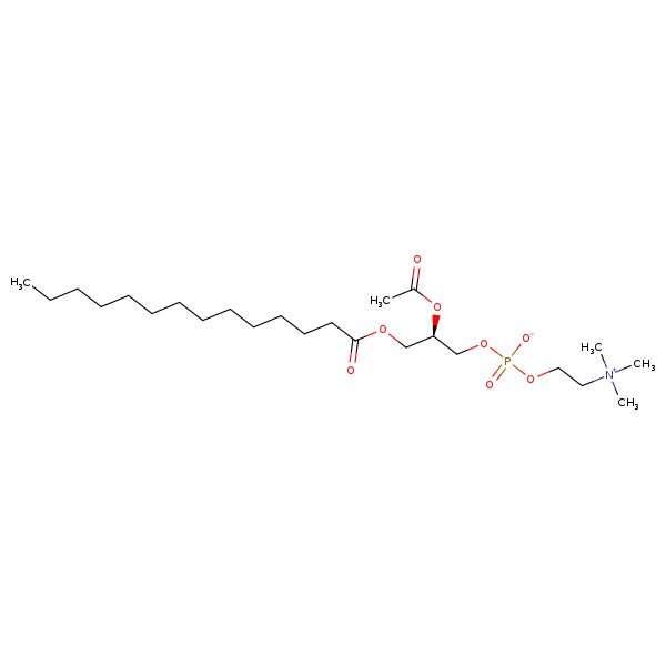 Image of MNXM69167