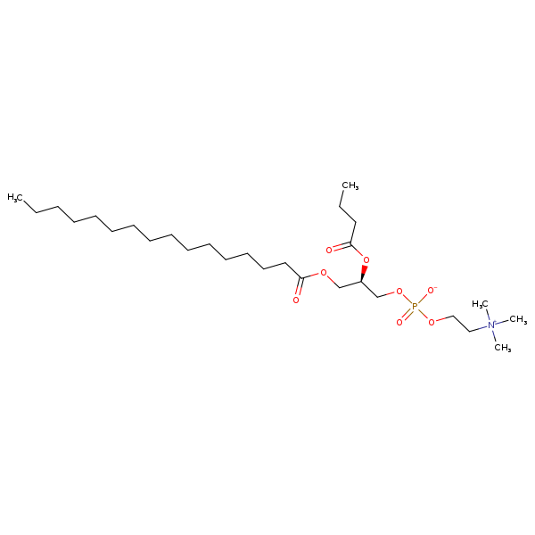 Image of MNXM69354
