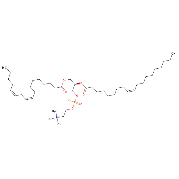 Image of MNXM69506