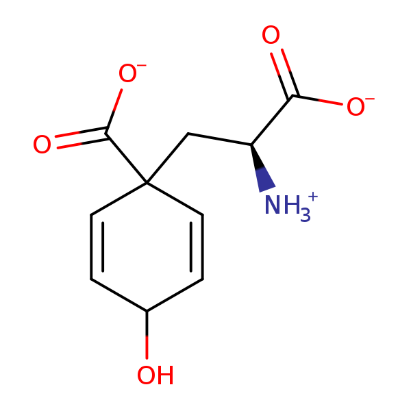 Image of MNXM696