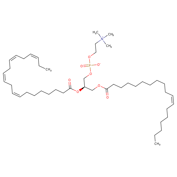 Image of MNXM69617