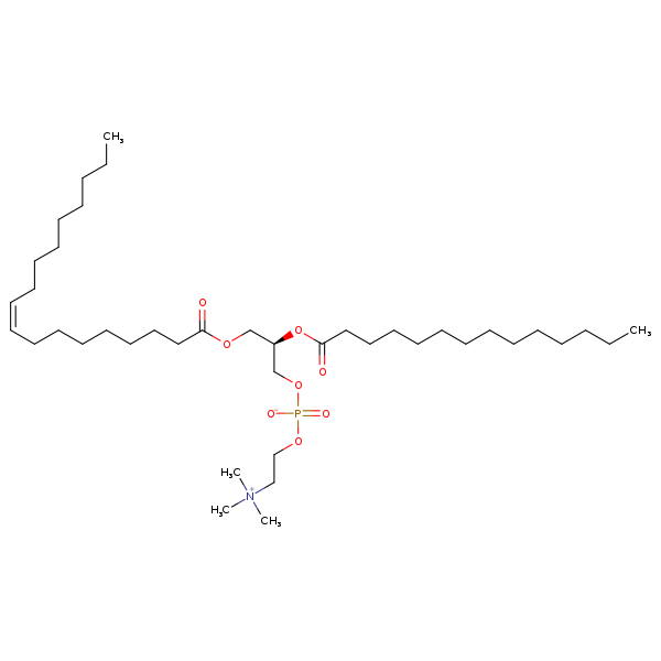 Image of MNXM69653