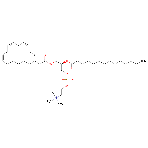 Image of MNXM69796