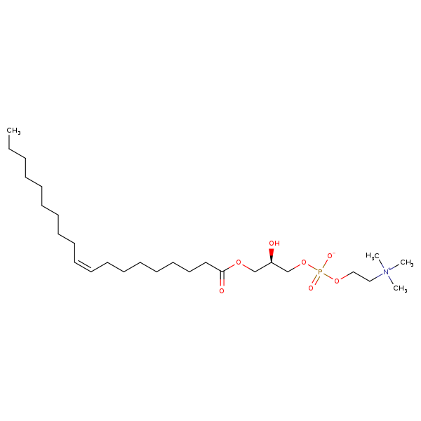 Image of MNXM69922