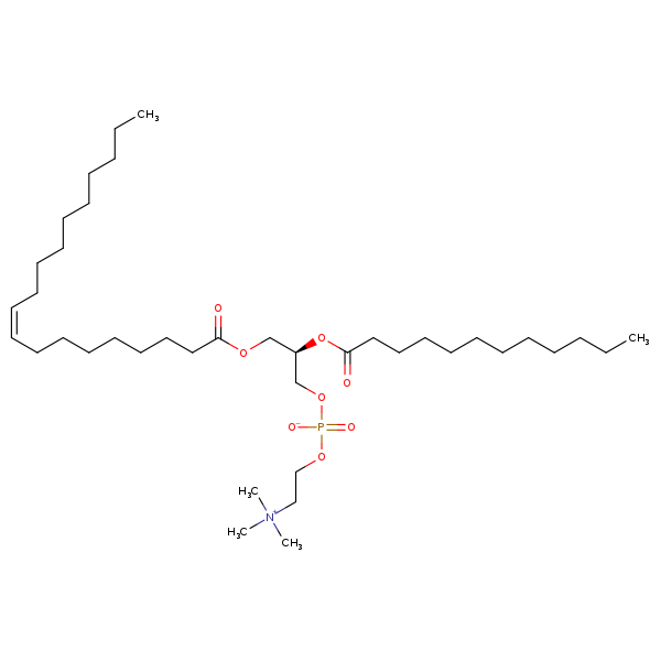 Image of MNXM69923