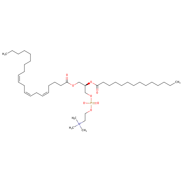 Image of MNXM70101