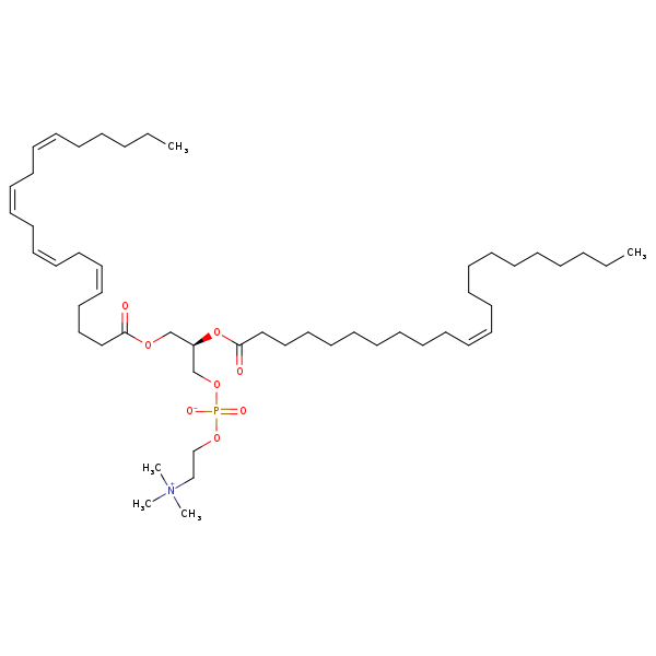 Image of MNXM70207