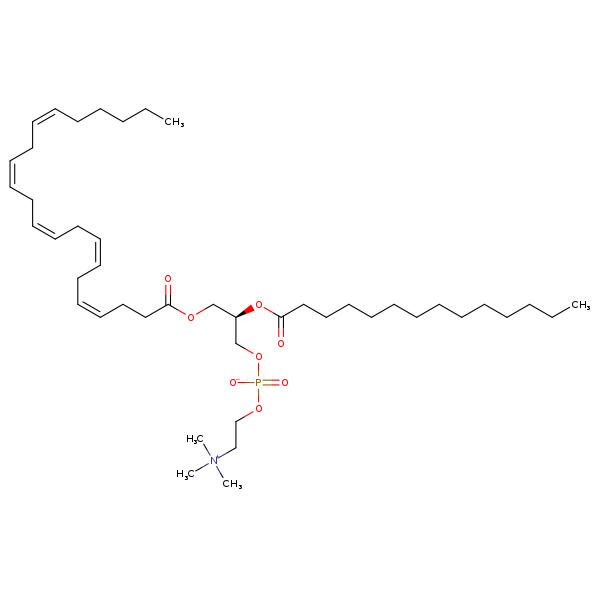 Image of MNXM70536