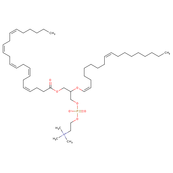 Image of MNXM70568