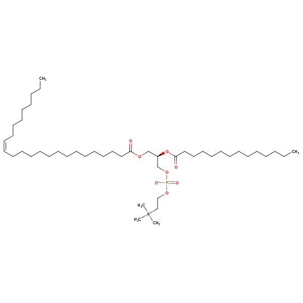 Image of MNXM70683