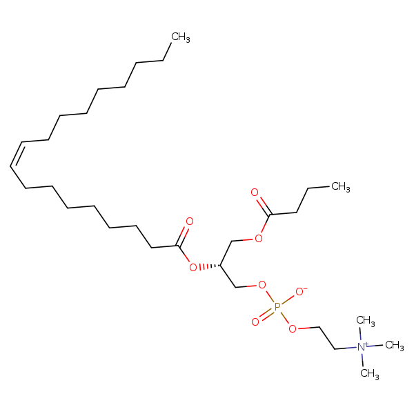 Image of MNXM70736