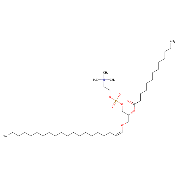 Image of MNXM71137
