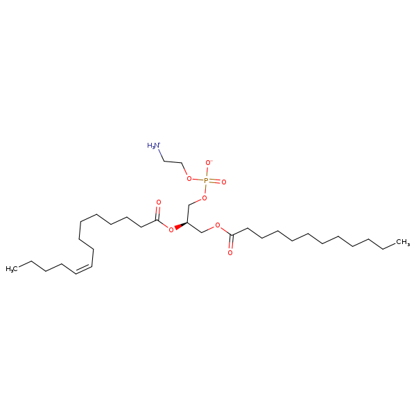 Image of MNXM71179