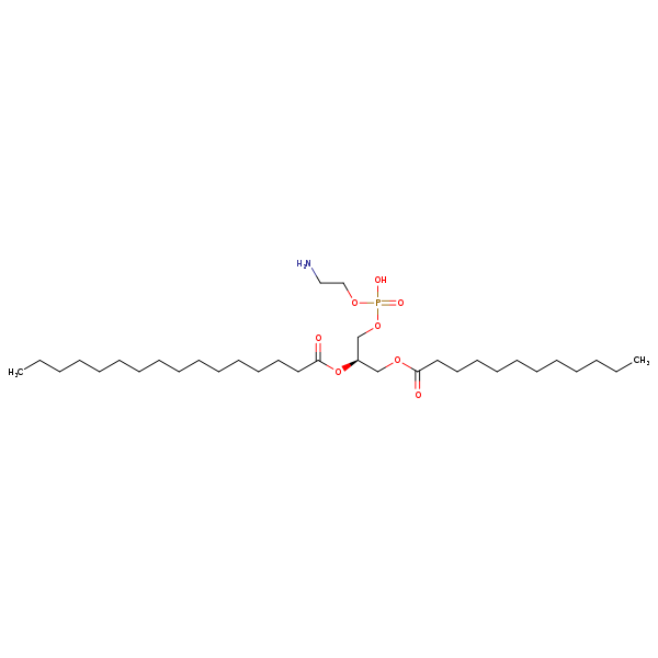 Image of MNXM71182