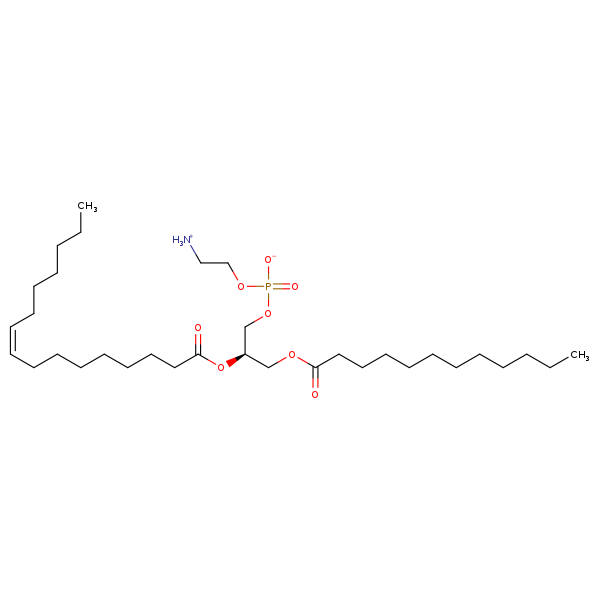 Image of MNXM71183
