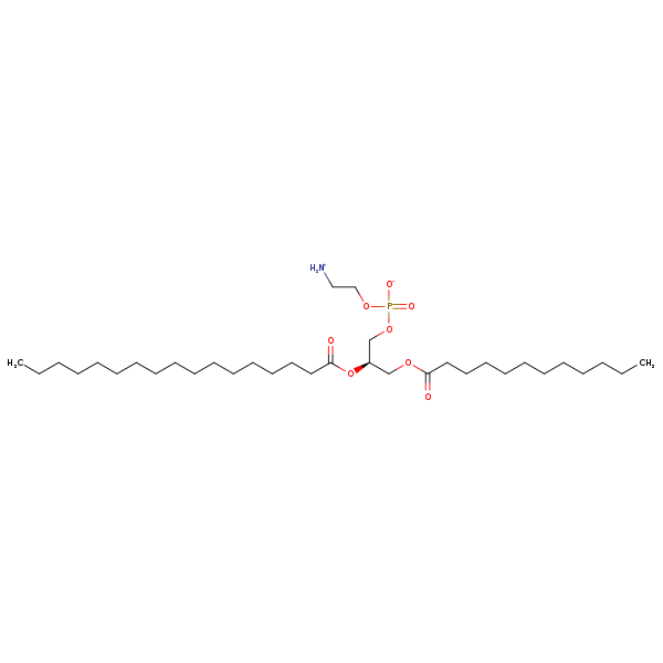 Image of MNXM71184