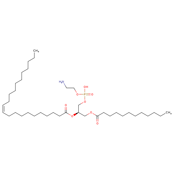 Image of MNXM71203