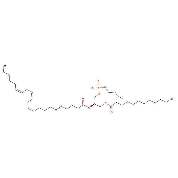 Image of MNXM71204