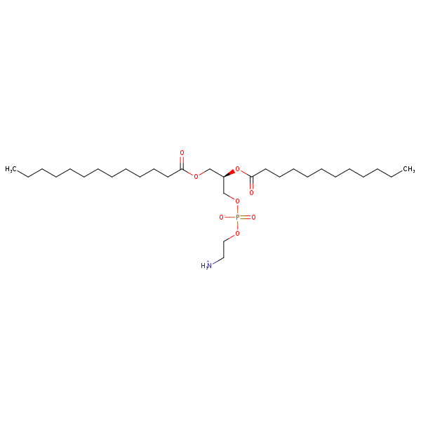 Image of MNXM71208