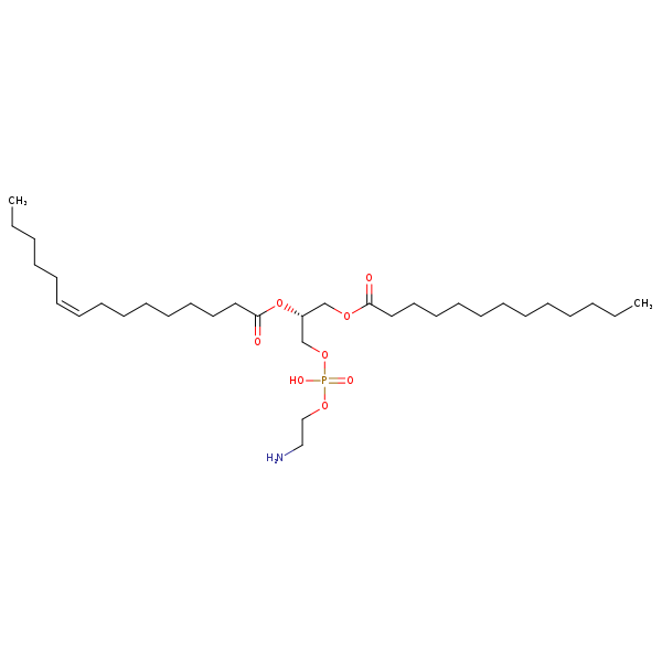 Image of MNXM71213