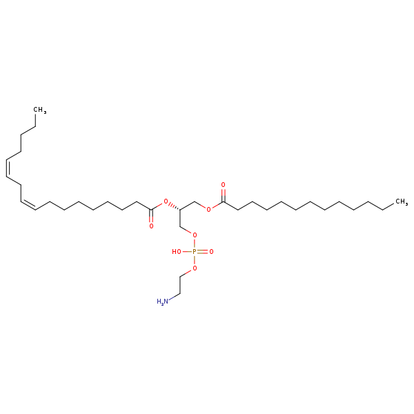 Image of MNXM71218