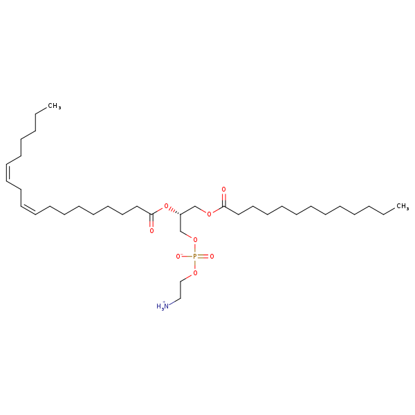 Image of MNXM71221