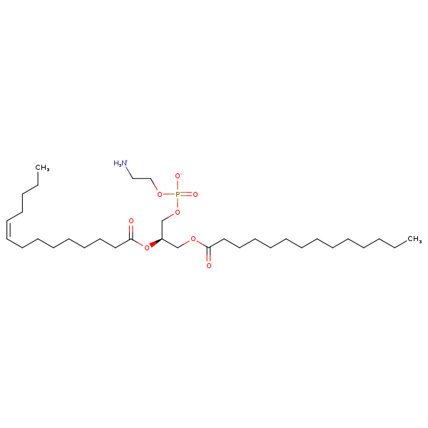 Image of MNXM71242
