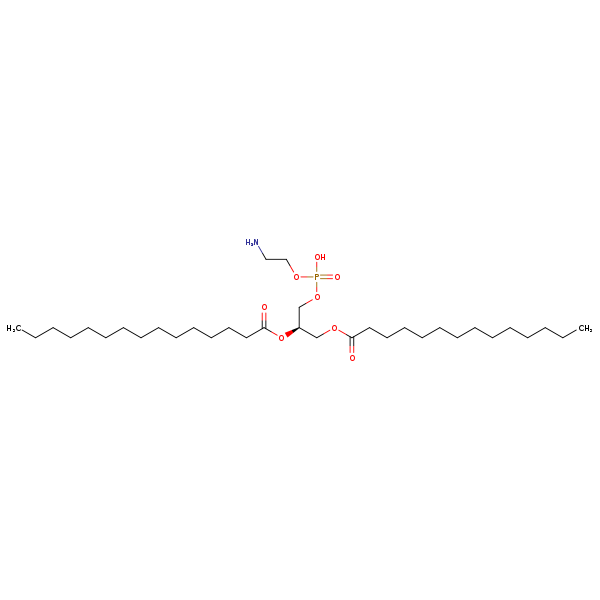 Image of MNXM71243