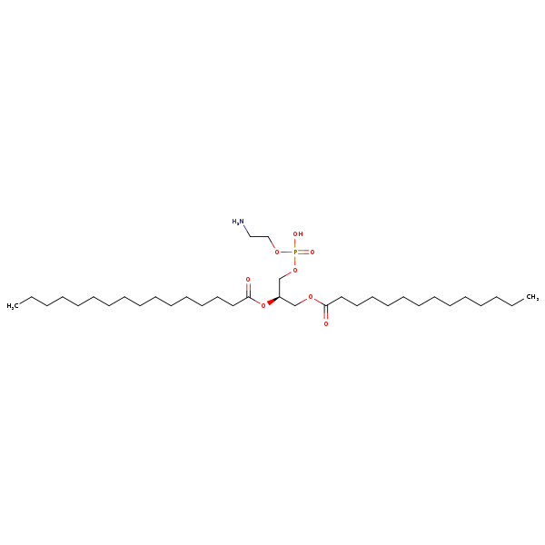 Image of MNXM71245