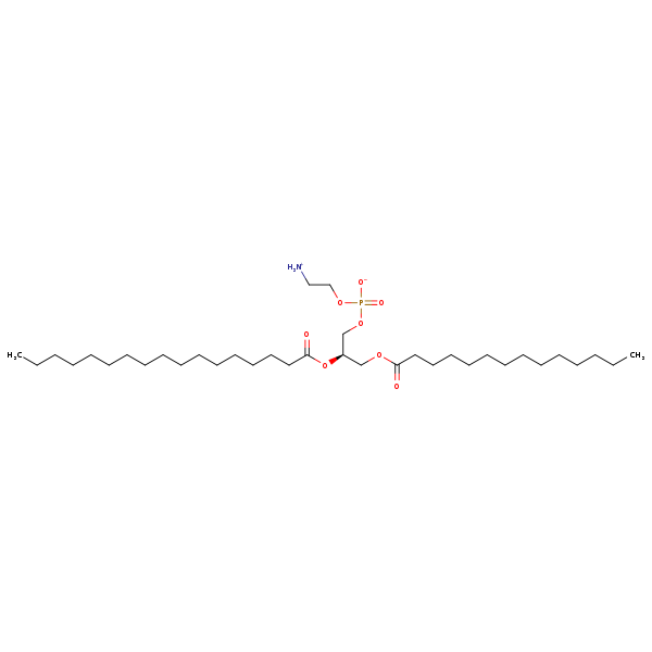 Image of MNXM71247