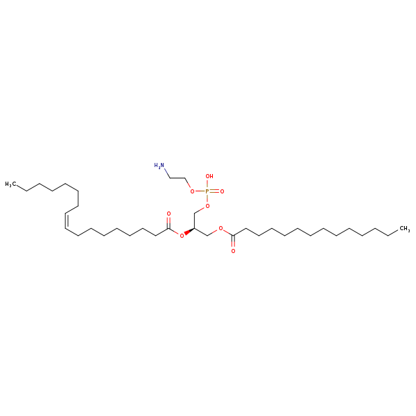 Image of MNXM71248