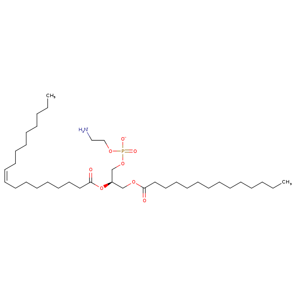 Image of MNXM71252