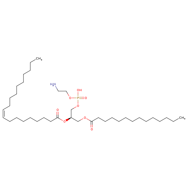 Image of MNXM71258