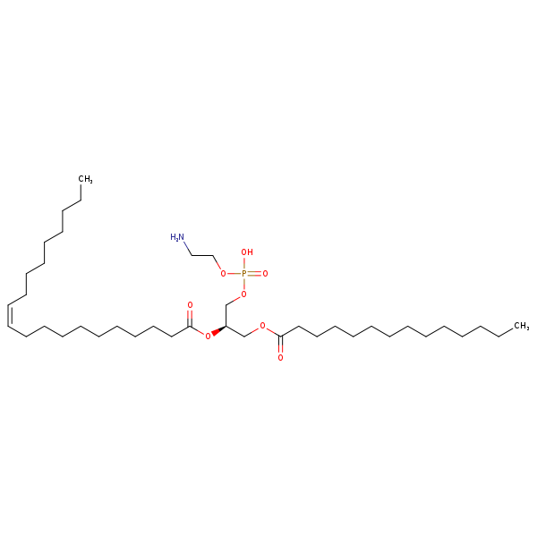 Image of MNXM71260