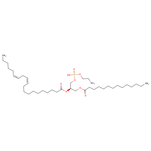 Image of MNXM71261