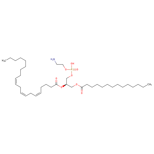 Image of MNXM71262