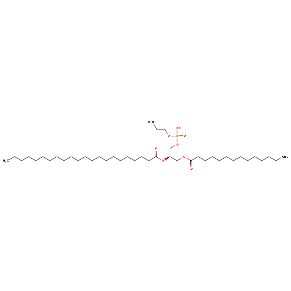 Image of MNXM71268