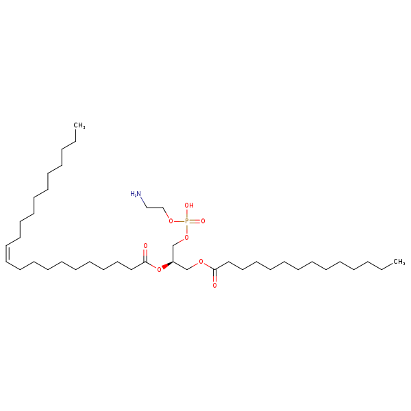 Image of MNXM71269