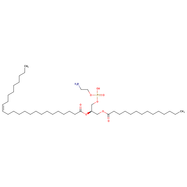 Image of MNXM71277