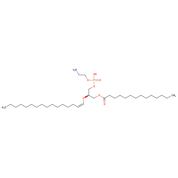 Image of MNXM71278
