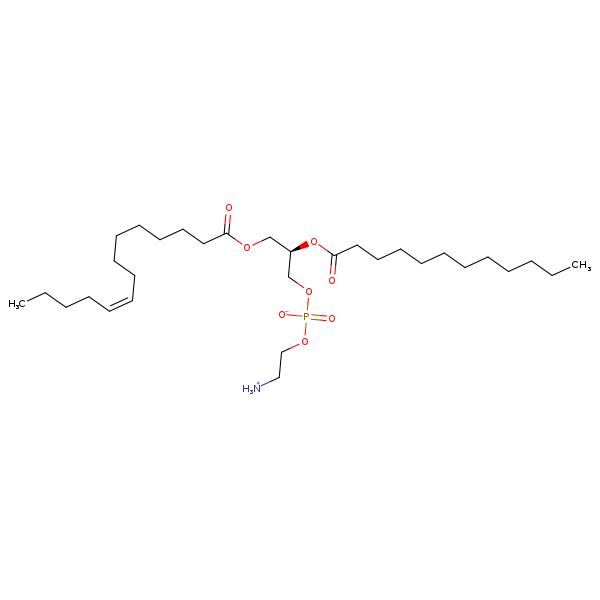Image of MNXM71282