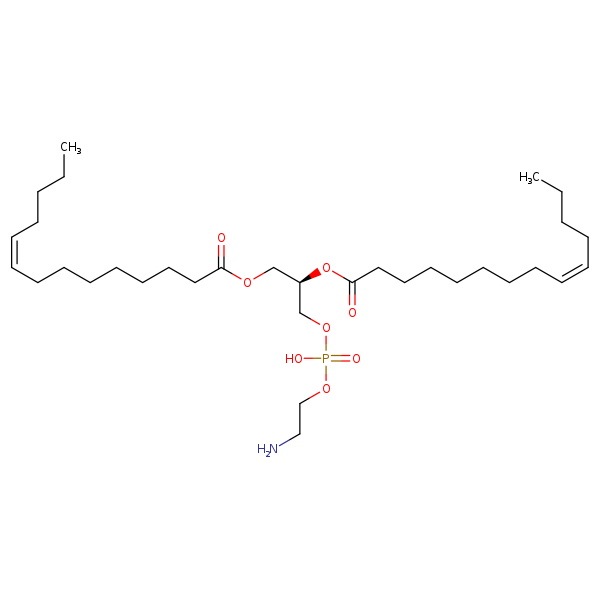 Image of MNXM71285