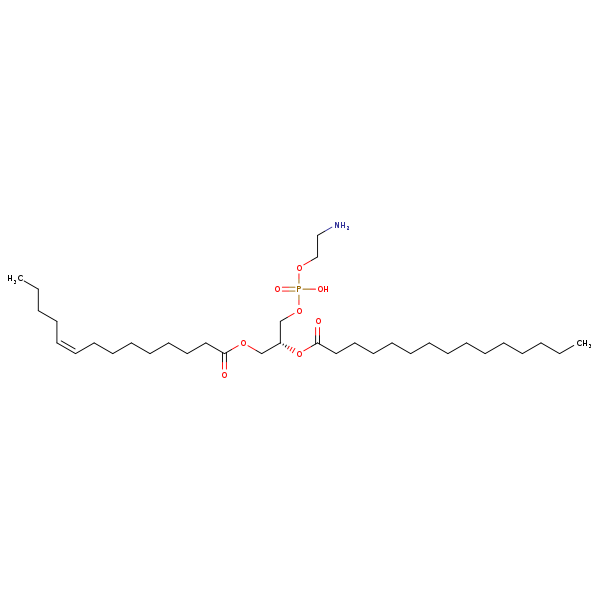 Image of MNXM71286