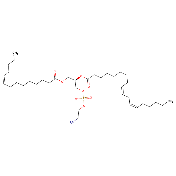 Image of MNXM71296