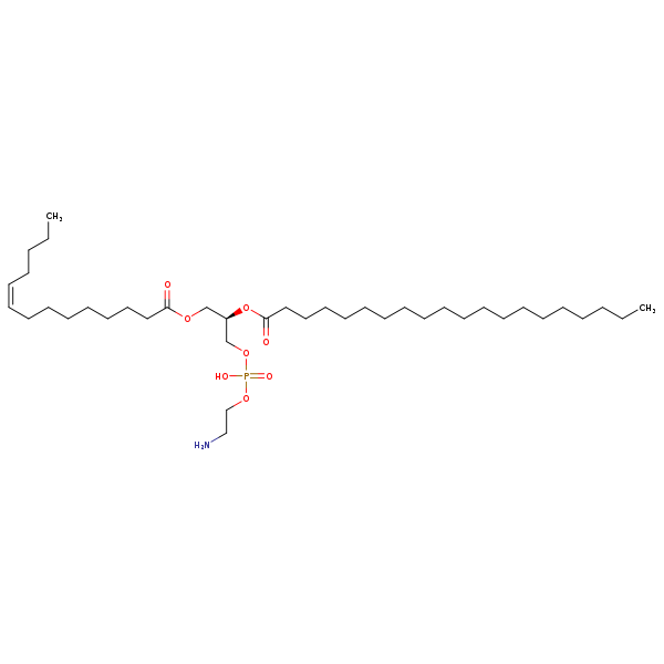 Image of MNXM71302